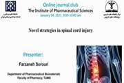 Novel strategies in spinal cord injury